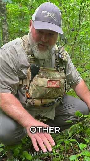 If You See Buckets Like This in the Woods, Leave Immediately
