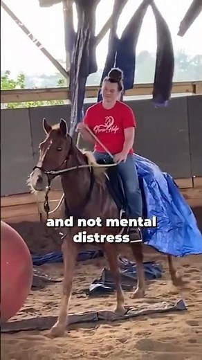 Dealing With Spooky And Buddy Sour Horses! | The Horse Guru-Michael Gascon