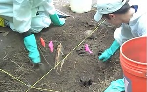 FBI Trains at the 'Body Farm' | Federal Bureau of Investigation