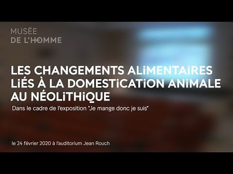 Les changements alimentaires liés à la domestication animale au Néolithique