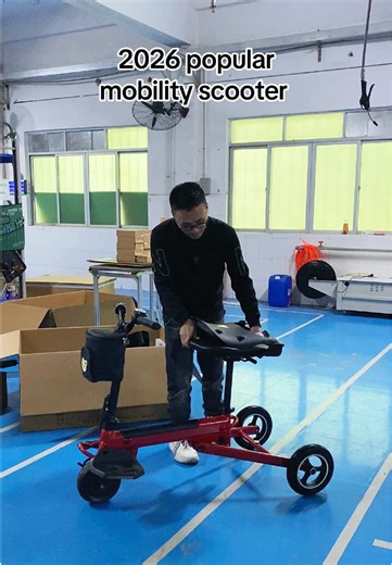 Lightweight Folding Electric Mobility Scooter for Seniors