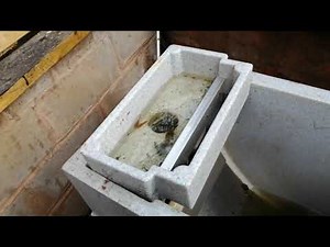 Purging bottom drain through Cetus Sieve filter.