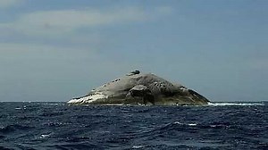 Boundary Islet - Alchetron, The Free Social Encyclopedia