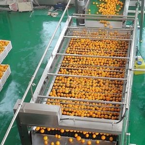 [Hot Item] Lemon processing line Lemon juice processing equipment