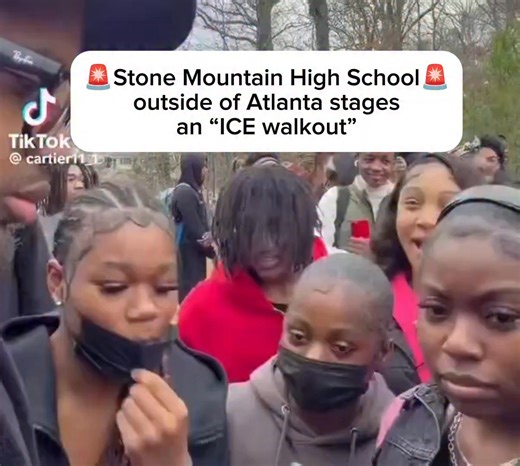 🚨Stone Mountain High School outside of Atlanta stages an “ICE walkout” while only 12% of students are math proficient: “We gotta help da Mexicans on bro cause y’all really got my bilingual friends messed up forreal… We gotta melt da ICE.” | David J Harris Jr.