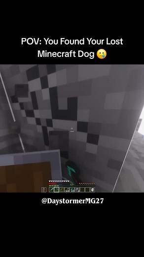 23K reactions · 551 shares | Lost Minecraft Dog Moment 沈 #minecraft #reels #meme | Daystormer | Facebook