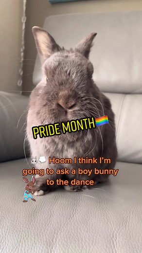 lucky_penny_bun (@lucky_penny_bun)’s videos with original sound - Jason Banks