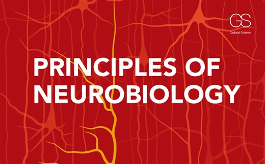 《神经生物学原理》 骆利群 原书配套视频搬运