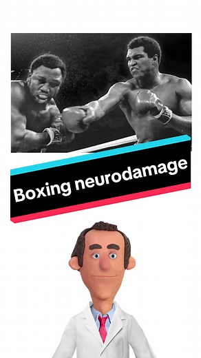 Programs and consultations in bio