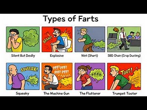 Every Type of Fart Explained in 6 Minutes