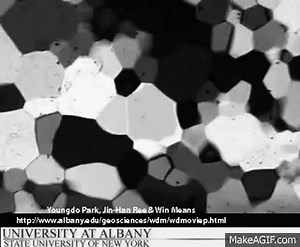 Grain boundary migration during high temperature deformation (SUNY) on Make a GIF