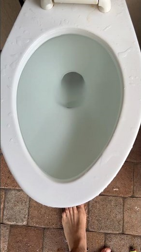 Comfort height American standard cadet toilet siphoning out!!!