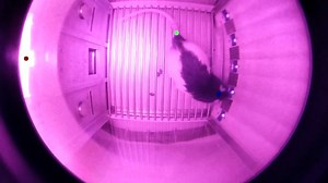 Tracking Rats in Operant Conditioning Chambers Using a Versatile Homemade Video Camera and DeepLabCut