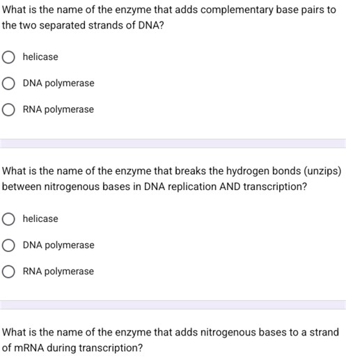 What is the name of the enzyme that adds complementary base pai... | Filo