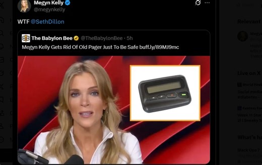 Megyn Kelly Cries ‘WTF’ After The Babylon Bee Makes the Same Joke She Defended Last Year