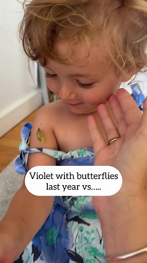 Butterfly and Moth Encounters