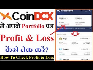 How To Check Overall Profit & Loss in CoinDCX App | How To Check Portfolio on CoinDCX App [Hindi]
