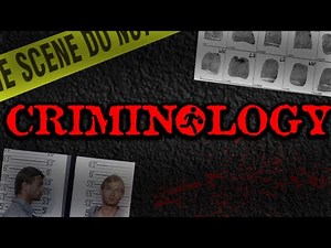 Criminology: the basics