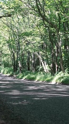 Can you name a better sounding Ferrrari than this straight piped F50!? #ferrari #f50 #exhaust | Mr JWW