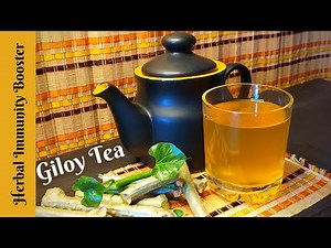 Why & How You Should Take Homemade Giloy Drink, A Natural & Herbal Immunity Booster, Giloy Tea