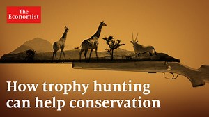 Trophy hunting: how it can protect Africa's wildlife