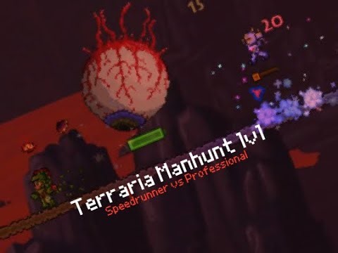 Terraria Manhunt 1v1: Speedrunner Vs Professional