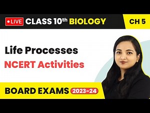 Life Processes - NCERT Activities (Part 1) | Class 10 Biology Chapter 5 (LIVE)