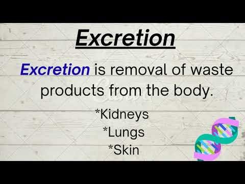 Life Processes Class-10 Animated video notes @studywithprince