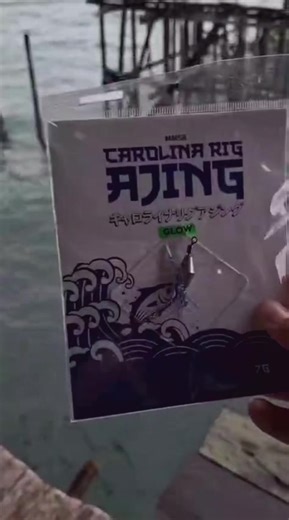 Amazing Solo Fishing Catches by a Pro Angler