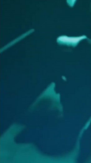 Salt - Extrait #angelinajolie