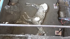 52K views · 537 reactions | Les restes de ces chevaux montrent que certains d'entre eux ont été préparés pour échapper à l'éruption du Vésuve, sans succès. | National Geographic | Facebook