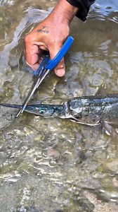 May isda sa isdang banak | Elvin Pelayo