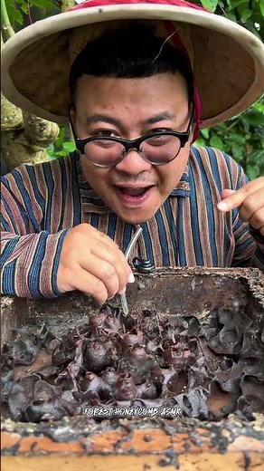 ASMR Drinking Wild Stingless Bee Honey Pots - 91 🍯🐝 #shorts