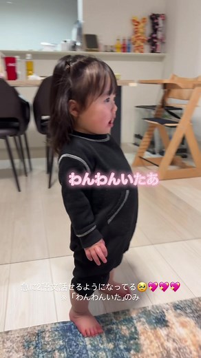 1歳4ヶ月の娘、初めて「わんわん」を認識