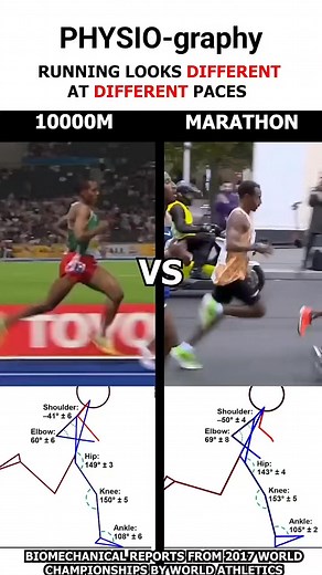 Marathon vs Sprint | PHYSIO-graphy