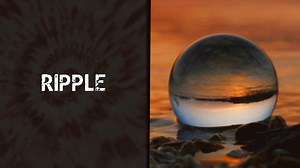 The Sunshine Man Diary