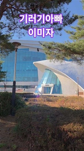 ♧기러기아빠♧이미자♧