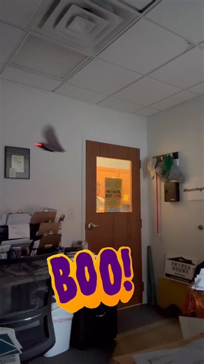 Let the shenanigans begin. Happy Halloween from the HAND team! 🦇 | HAND Inc.