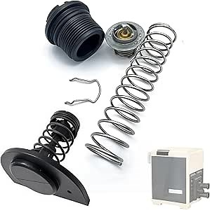 77707-0010 Thermal Regulator and 77707-0001 Manifold Bypass Valve Kit Compatible with MasterTemp 400 250 200 300 333 and Sta-Rite Pool and Pool Heaters, 38000-0007S Thermal Regulator kit