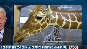 Jack Hanna outraged by giraffe slaughter