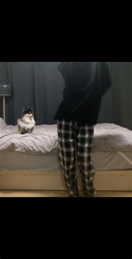 혜안 몰리와 띵띵땅땅 댄스