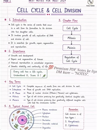 Cell Division & Cell Cycle | Class 11 Biology | NEET/JEE 2027 Notes