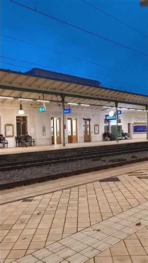 Calm Moments at ÖBB Station Vienna 🚆✨#shorts