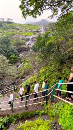 You will fall in love after seeing this view from Kalu waterfall 😍🌿 | Maharashtra Monsoon Trek #s...