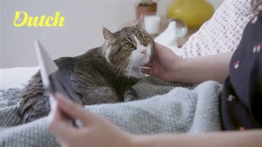 Dutch TV Spot, 'New Best Friend'