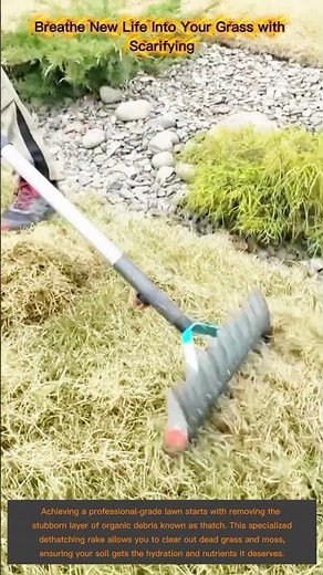 Breathe New Life Into Your Grass With Scarifying