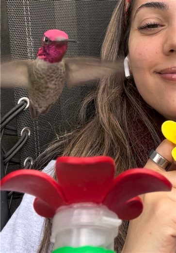 Gardening Tips for Hummingbird Feeding and Happiness