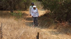 A blind woman walks with a cane through a natural area with a guide helping her explore the wilderness.