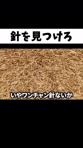 1300万本の草から1本の針を探すゲームが鬼畜すぎるww#shorts #ゲーム実況