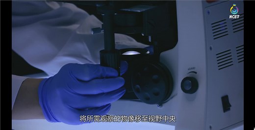 高中生物新教材-超清实验专题：1.使用高倍显微镜观察几种细胞